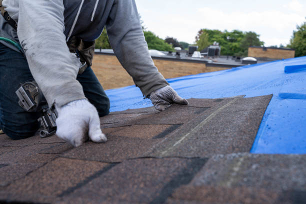 Best Metal Roofing Contractor  in Terra Alta, WV