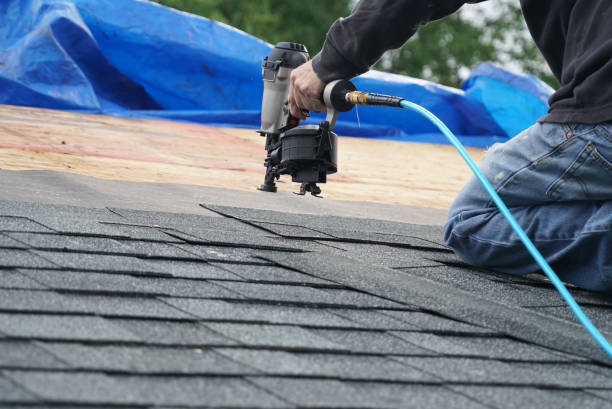 Best Shingle Roofing Installation  in Terra Alta, WV